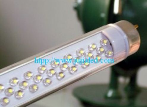 T8 Fluorescent Lamp